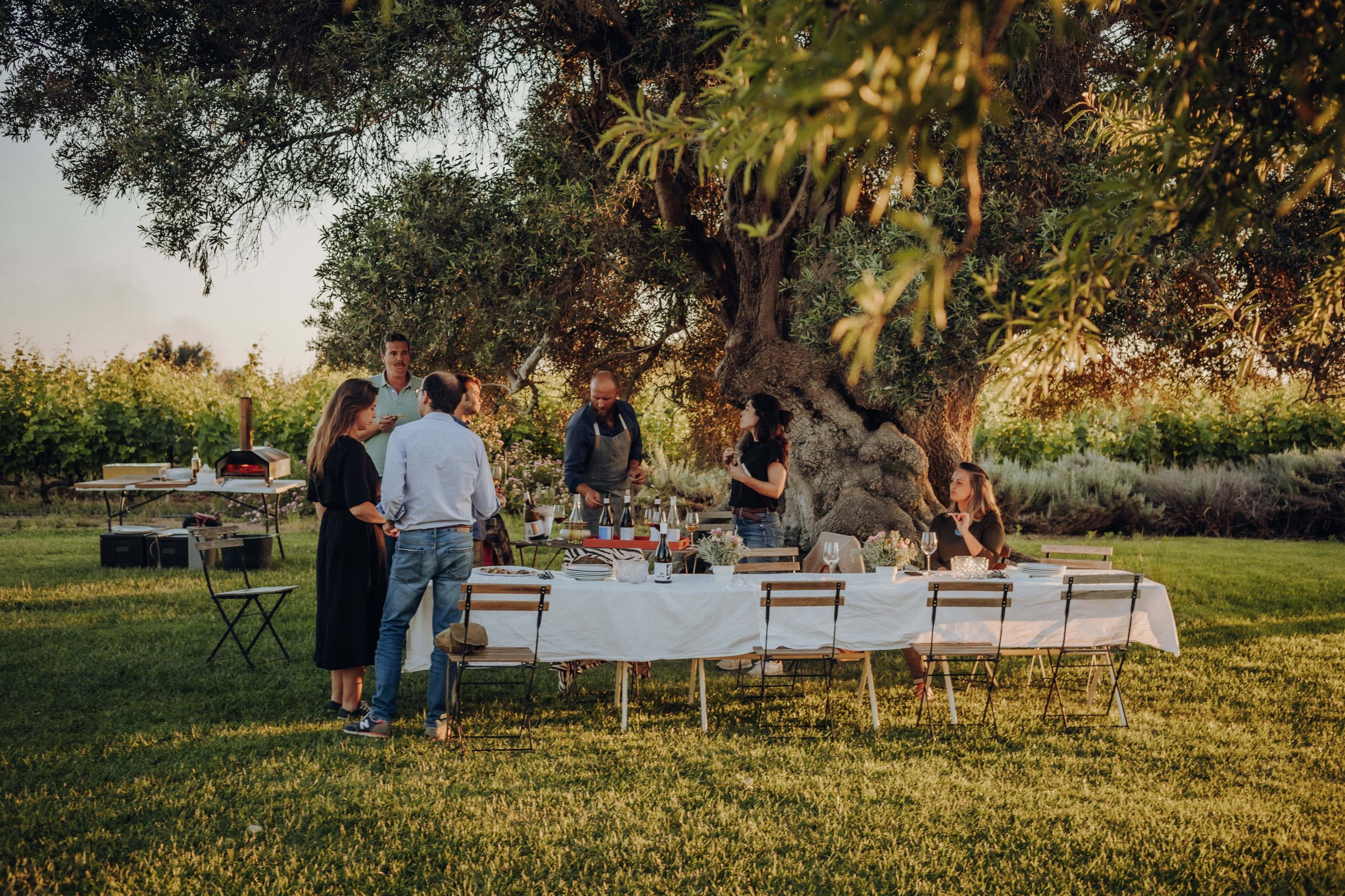Taste the Algarve Wine